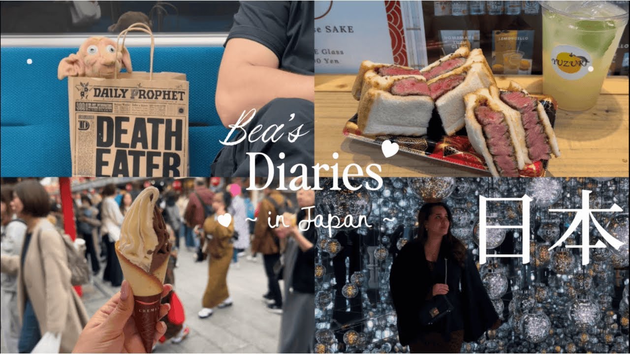 10 dias no Japão: Outono em Tokyo (Harry Potter Studio Tour, TeamLab & Omakase) Part 2