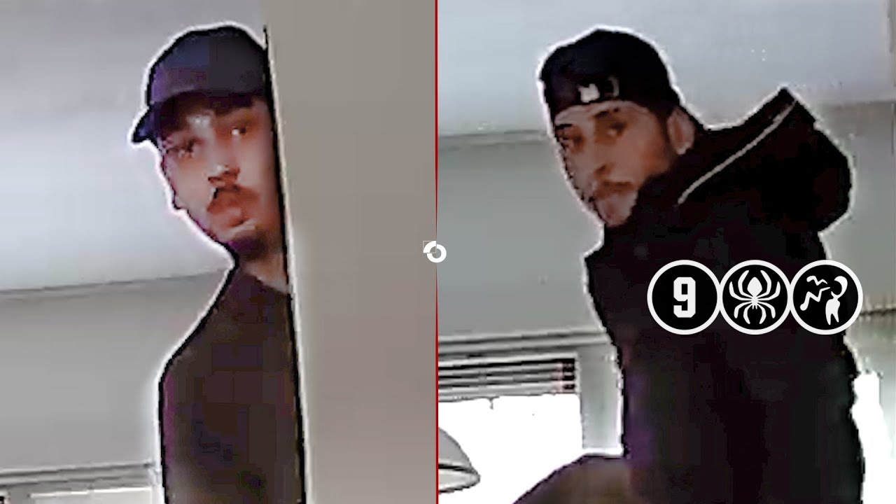 Camera in woonkamer legt inbrekers vast | Leiden