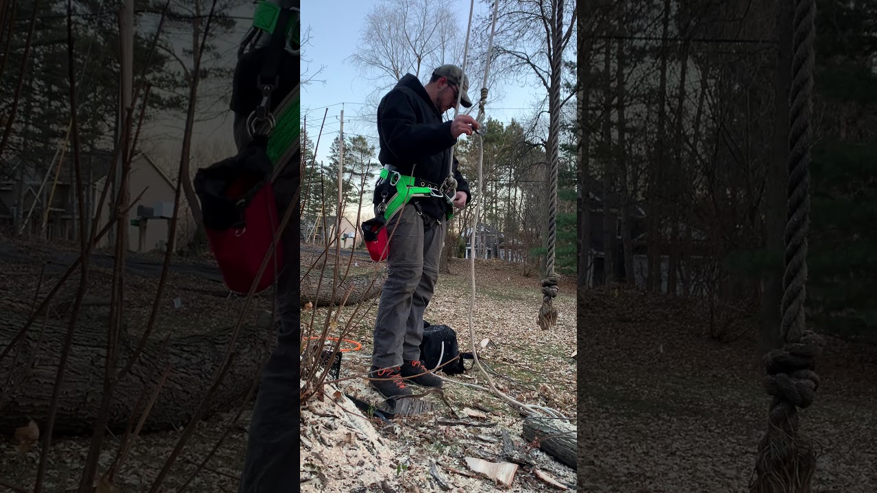 WesSpur tree climbing kit basic use.