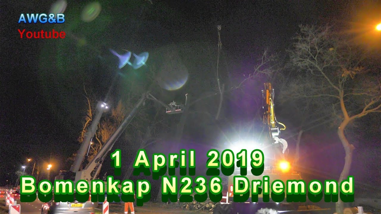 Kaalslag N236 Driemond bomenkap