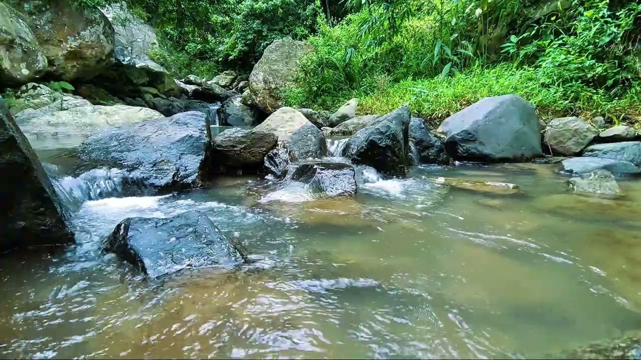 Calm River Flow | Relaxing Water Sounds # 5