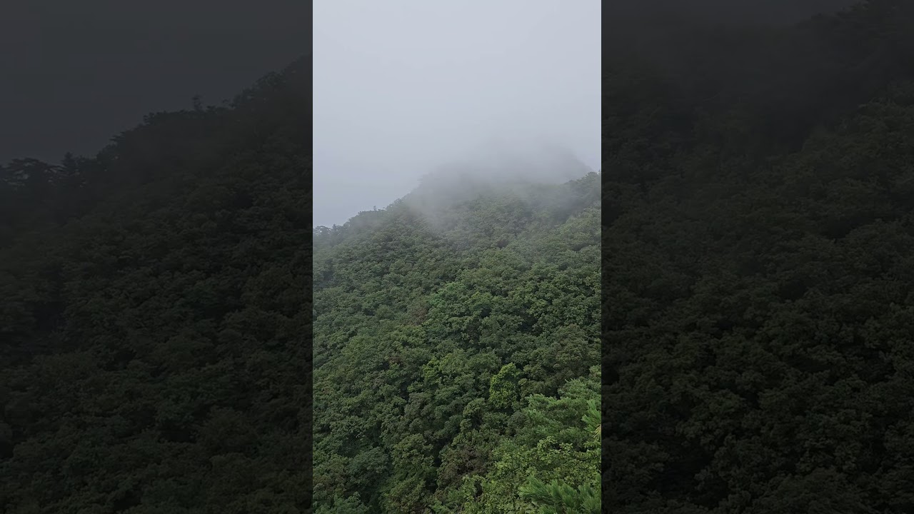 The Silent Comfort of Dobongsan #seoulnature #explorekorea #seoulhiking #hikingkorea