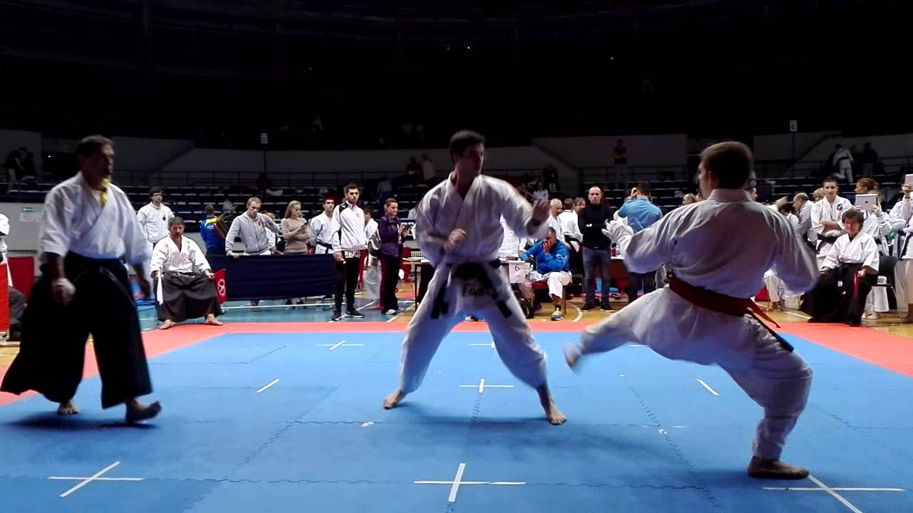 MŚ Karate Fudokan 2015 Belgrad fukugo final
