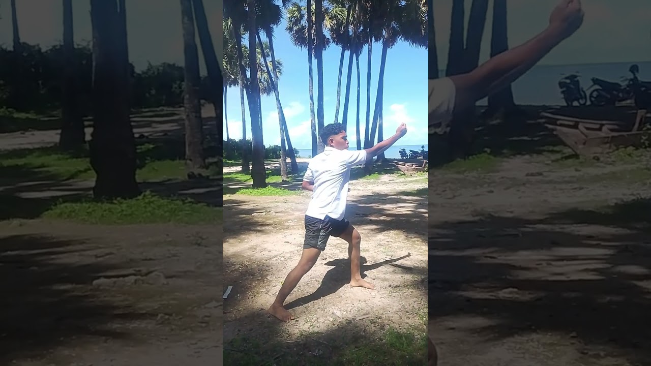 Tugas video pencat silat