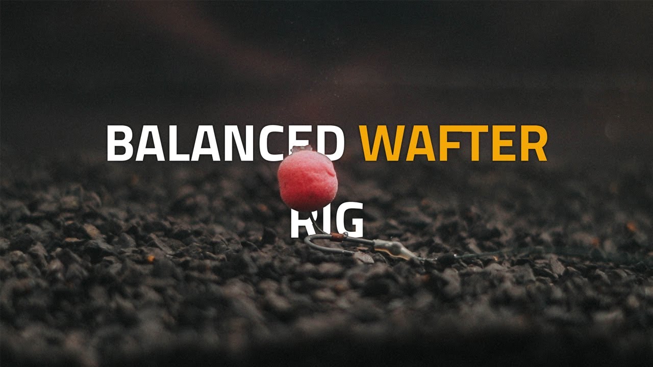 THE SIMPLE WAFTER RIG! For catching bigger CARP! How To Tie A Simplified Wafter Rig - Tacticarp TV
