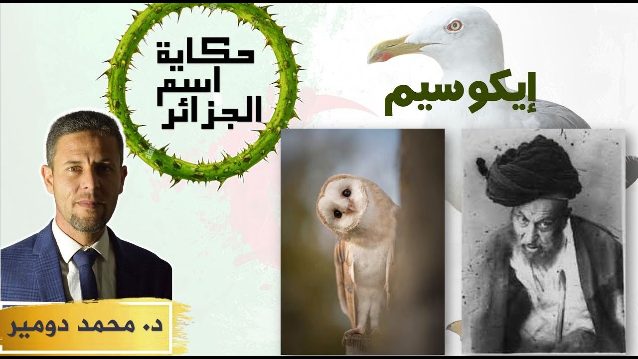 ثلاث بلدان حملت اسم الجزائر عبر التاريخ والبقاء للأقوى