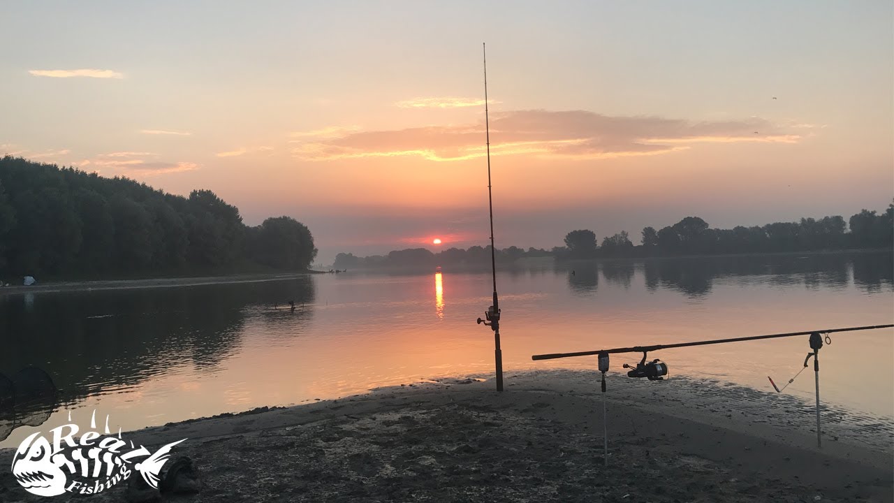 Realfishing Po-Trip 2017 - 1/2