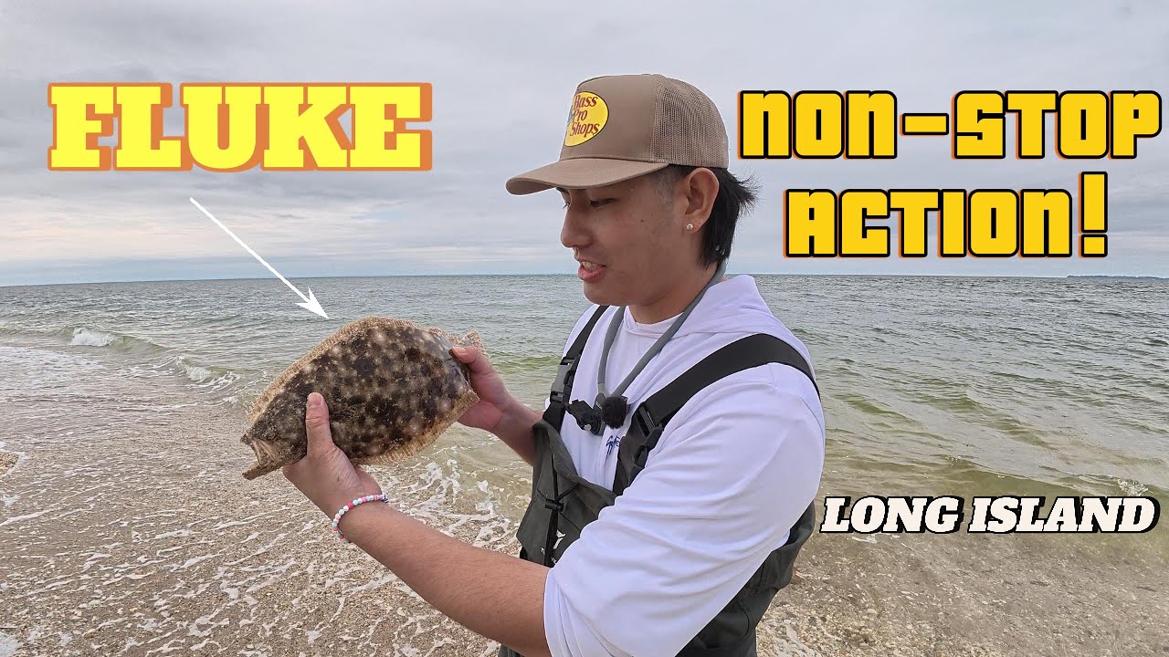 FLUKEMANIA!