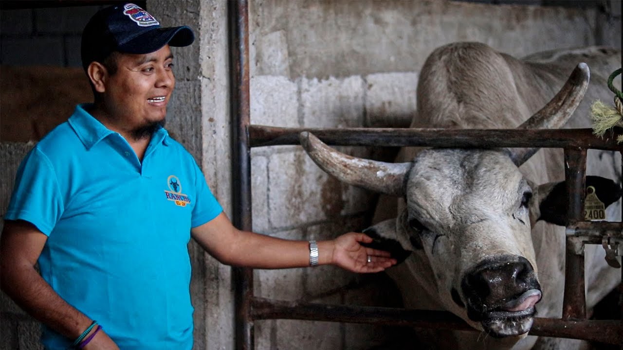 &iexcl;AS&Iacute; SE VIVE UN D&Iacute;A EN UN RANCHO DE TOROS DE REPARO! CONOCIMOS A DETALLE A LOS AMIGOS DE R. EL 24