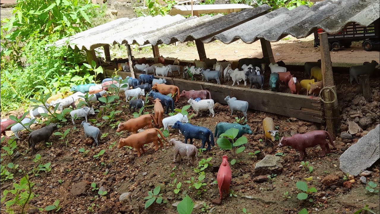 comprando gado!!!/FAZENDINHA DE BRINQUEDO 🤠🦬