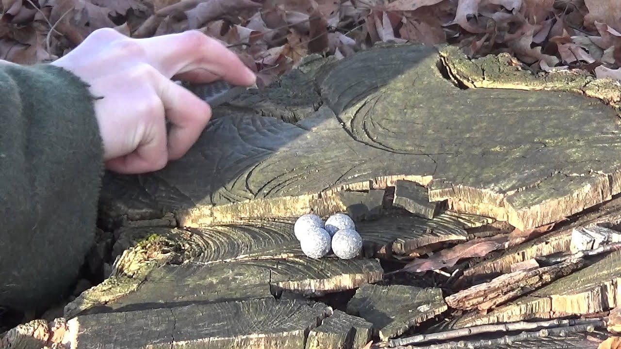 Flintlock Smoothbores Part 2: Chewed Balls