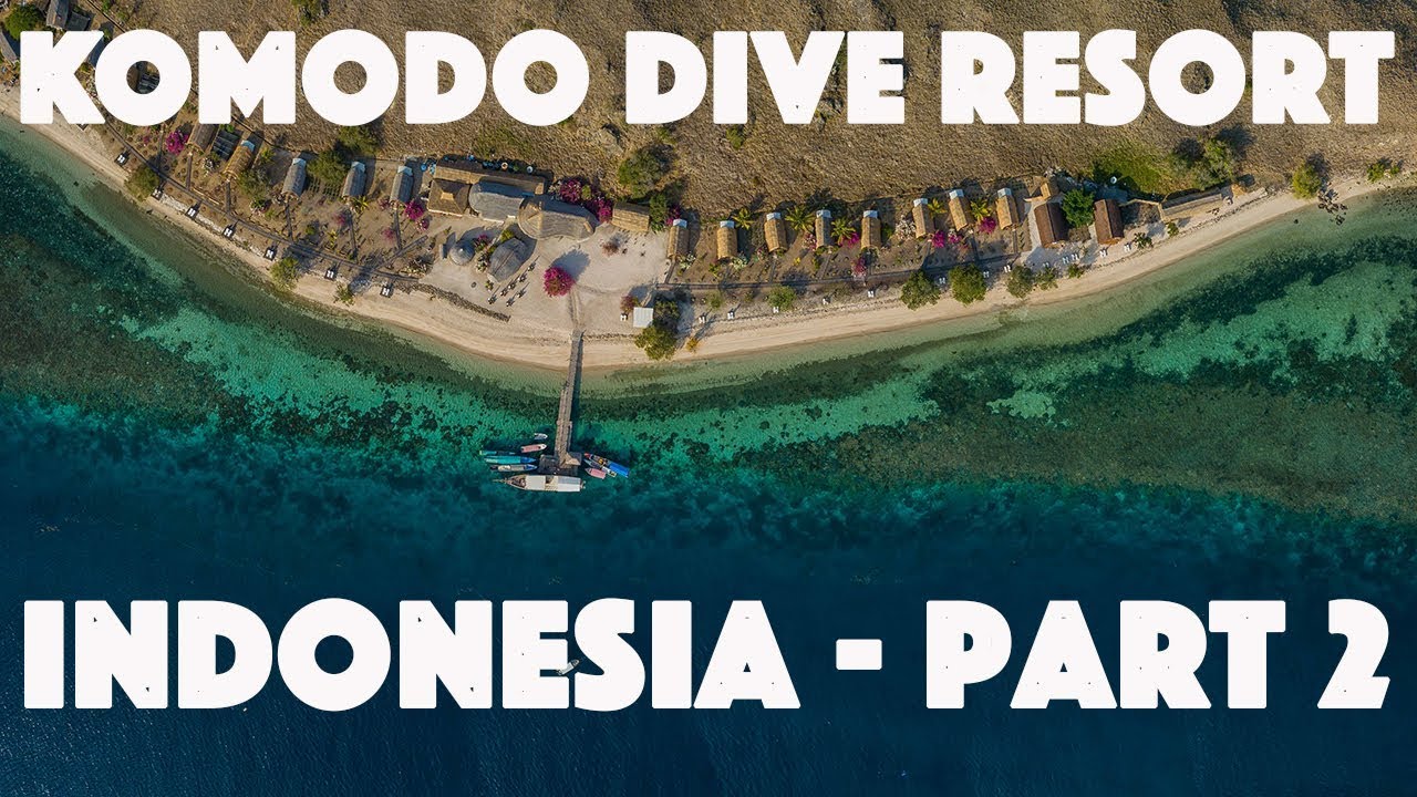 SCUBA DIVING INDONESIA PART 2 | KOMODO DIVE RESORT | HEAVEN ON EARTH