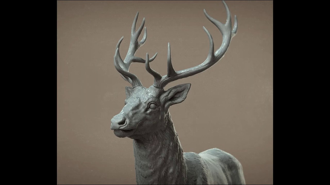 Deer Zbrush Sculpt Timelapse