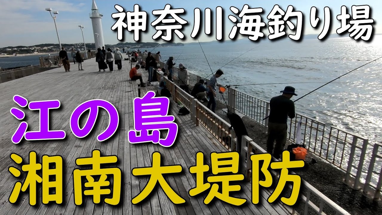 神奈川堤防釣り場 江ノ島 湘南大堤防 白灯台 堤防釣り ポイント ルアー 駐車場 サビキ釣り ショアジギング 青物 エギング アオリイカ フカセ釣り 投げ釣り MANCING MANIA JAPAN