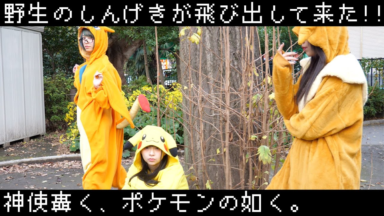 【ツーステップ】神使轟く、ポケモンの如く。自己都合主義メタモルフォーゼver.