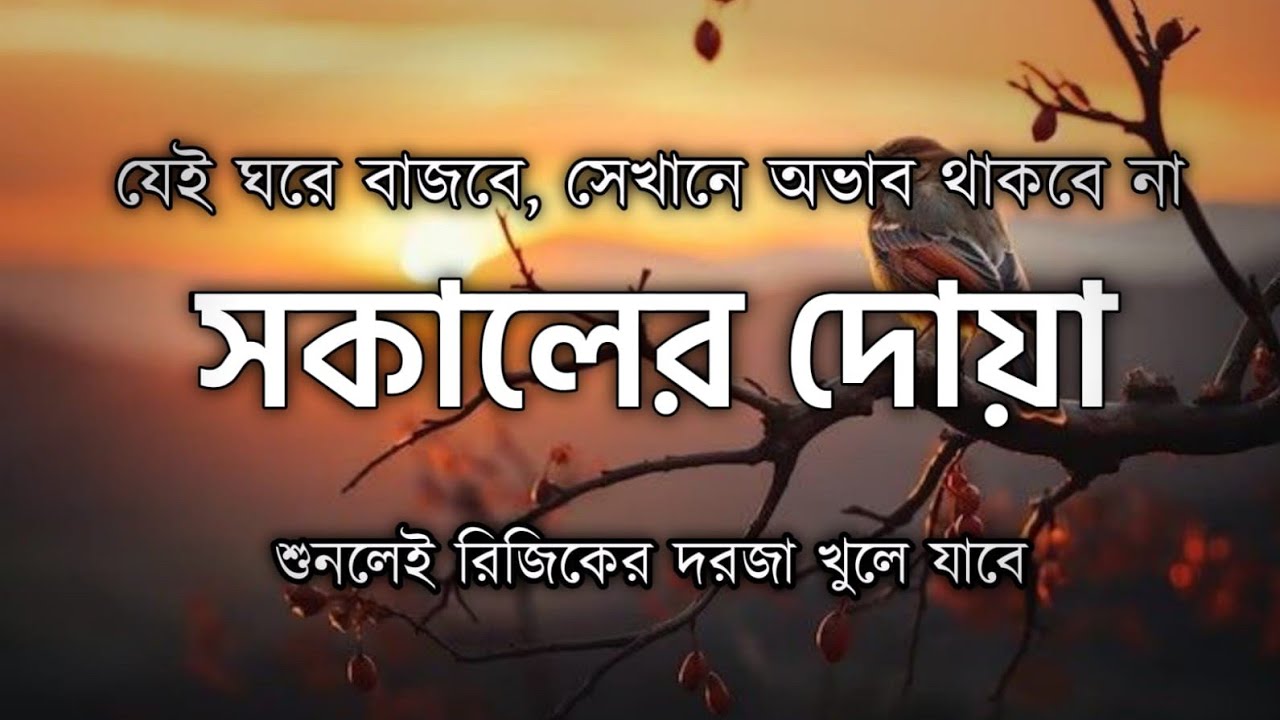 সকালটা শুরু হোক হৃদয় শীতল করা বরকতময় আয়াত দিয়ে। সকালের দোয়া ও জিকির । Morning Dua by Alaa Aqel