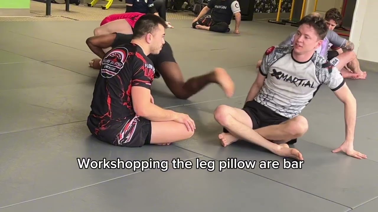 DomoBJJ vs Nick Lee - Nicks last Brown Belt Roll