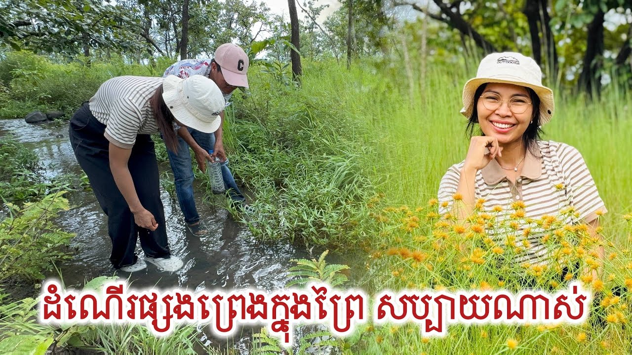 ផ្សងព្រេងក្នុងព្រៃ សប្បាយមែន! Adventure in the forest | Life in the countryside 