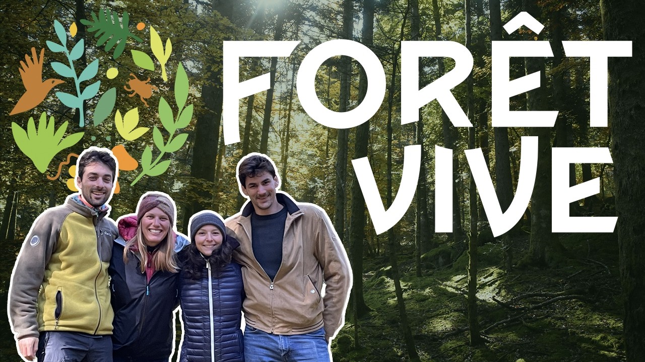 Découvrez l'association Forêt Vive