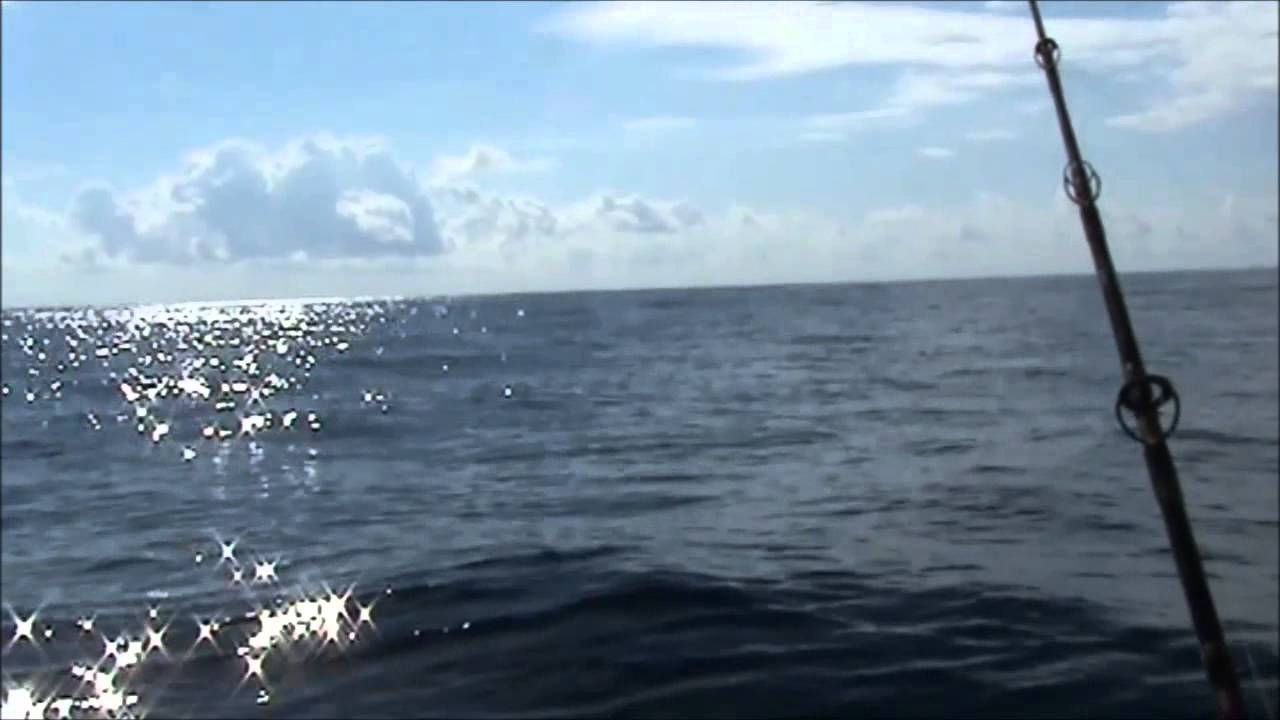 Adventures At Sea: Water Spout, Distant Whales & Shark.