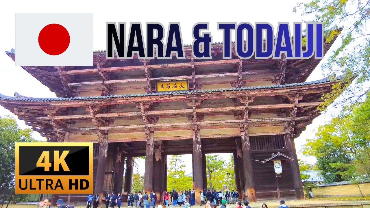 Todaiji Temple Walking Tour &ndash; Explore Nara Park & Great Buddha Japan 4K