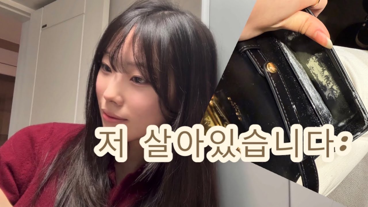 Vlog 생존신고 하러 왔숭 🙈