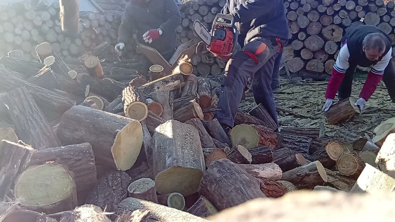 242XP Száraz Akácban 😁