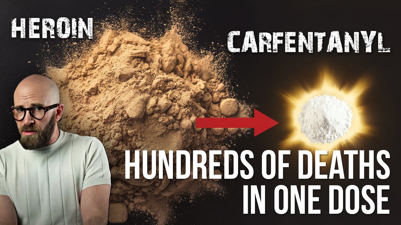 The Deadly Rise of Fentanyl Analogues