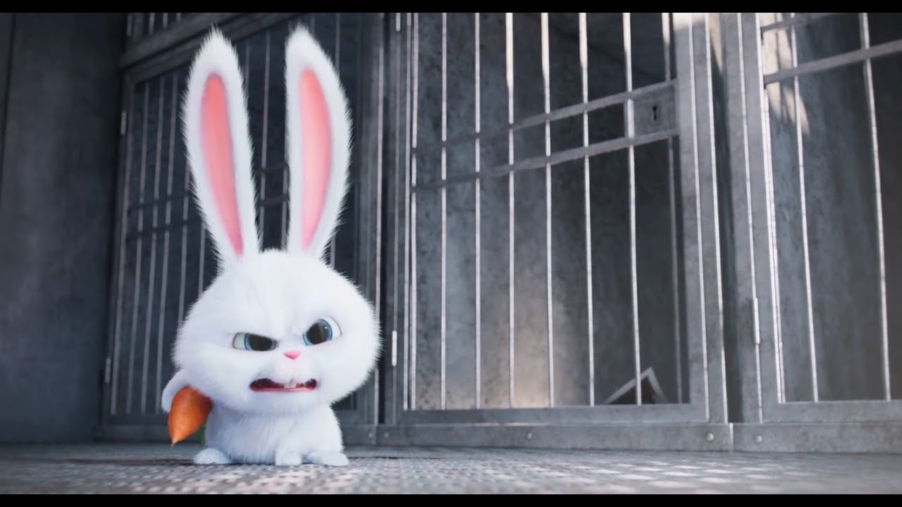 R.R.R - The Secret Life of Pets vs Toy Story