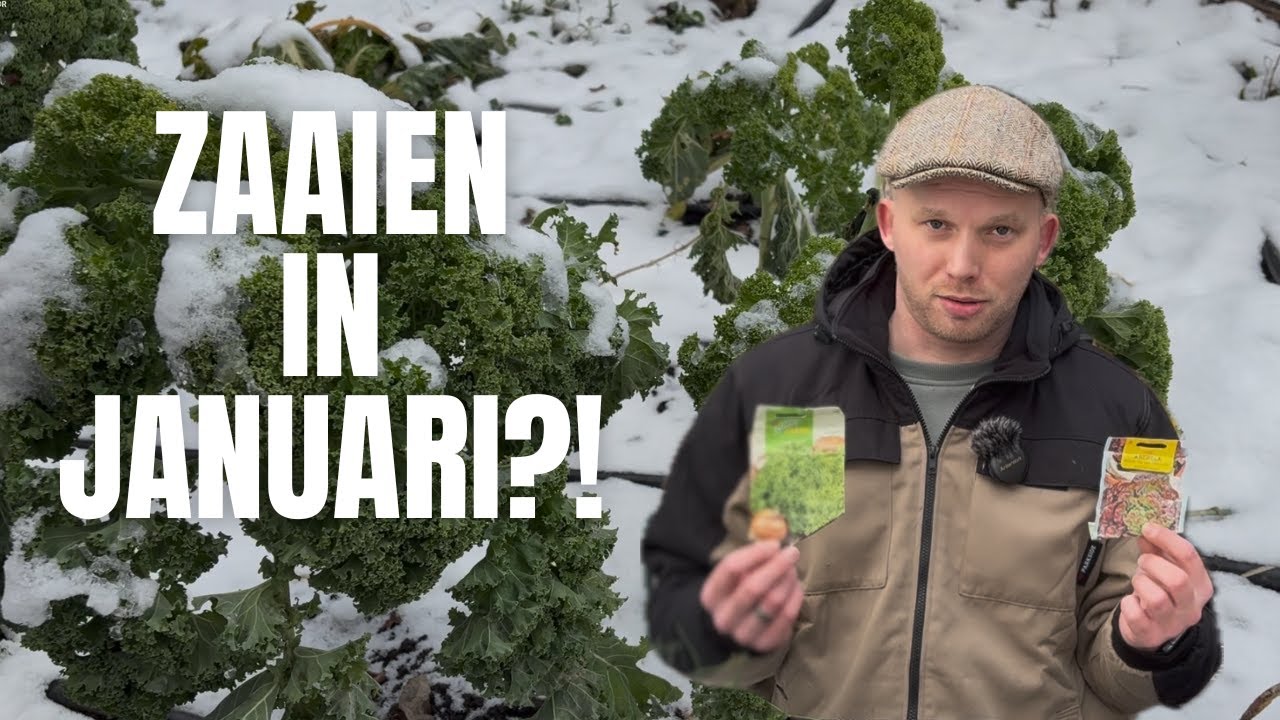 Wat kun je zaaien in januari? 🌱 5 Groenten om NU al te starten! | De Moesketier