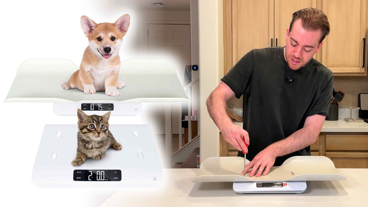 Pet Scale Review — Accurate Puppy & Kitten Weight Scale for Small Animals & Home Monitoring