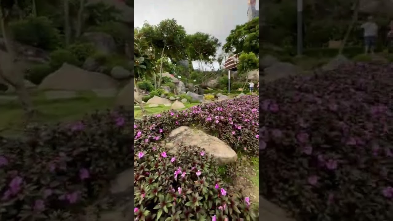 Mỹ Kim Đi Núi Bà Đen