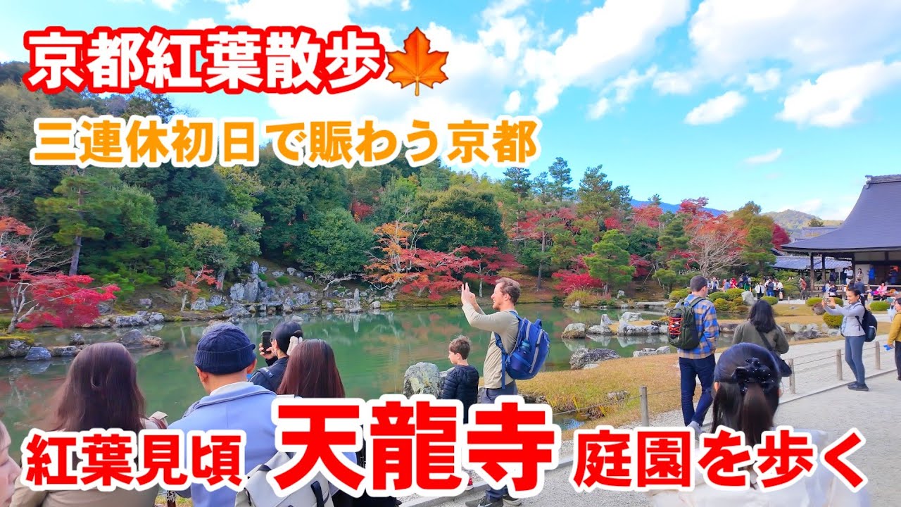 11/22(土)京都紅葉散歩🍁観光客で賑わう紅葉見頃の世界遺産天龍寺庭園を歩く【4K】Tenryuji Temple in autumn