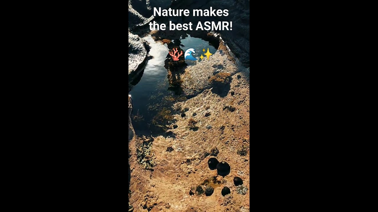 Tsitsikamma National Park 2025 11 06