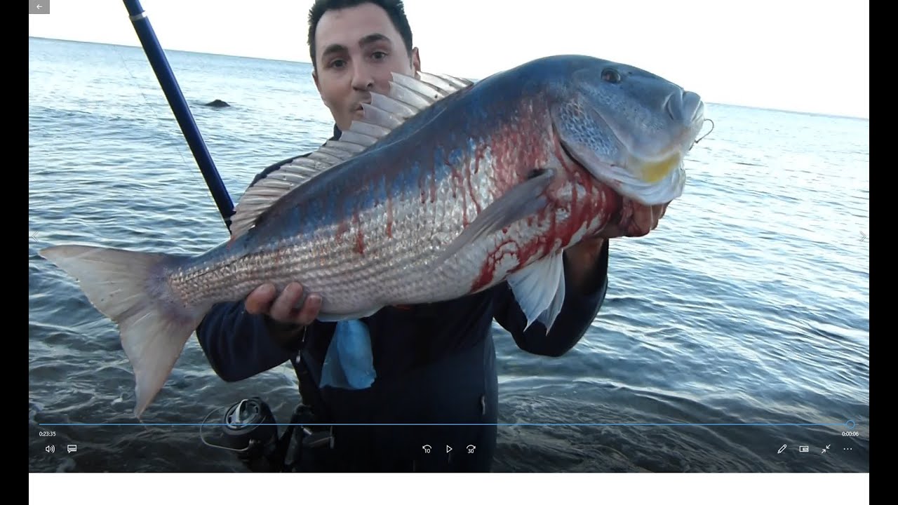 La Pesca del Denton, la Fiebre Azul, una Decada tras el coloso