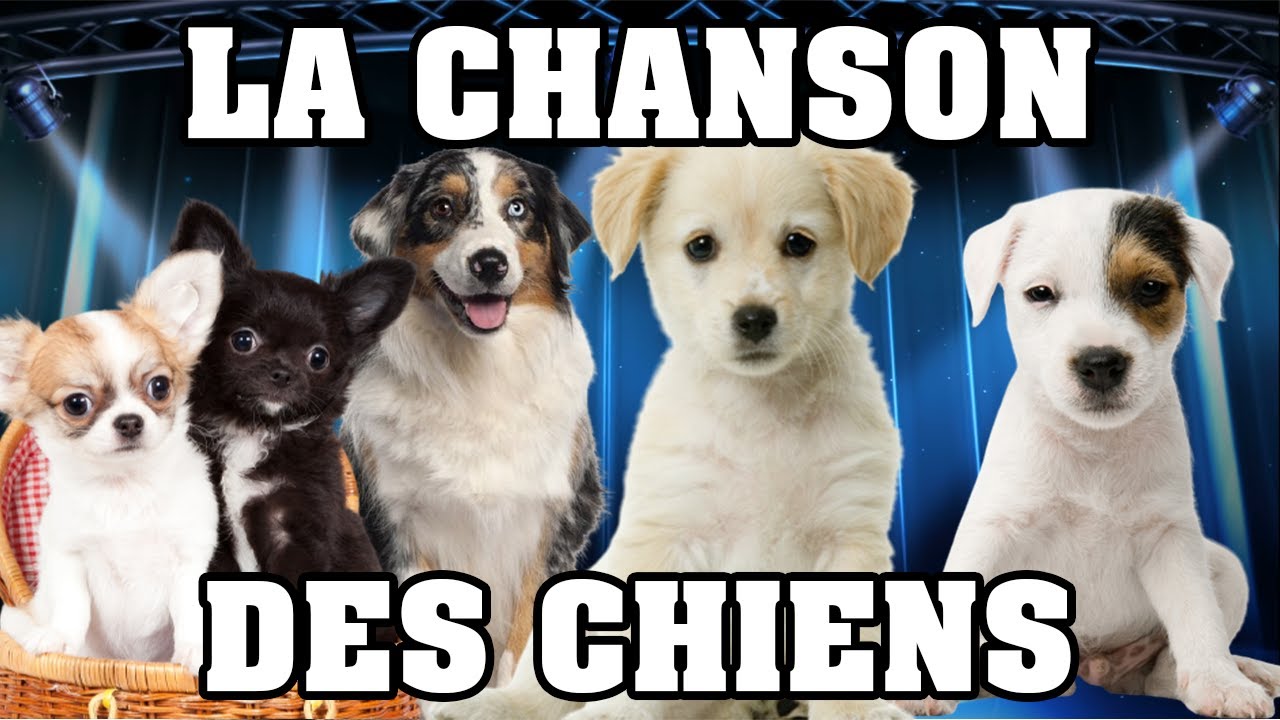 🐶 LA CHANSON DES CHIENS 🐶