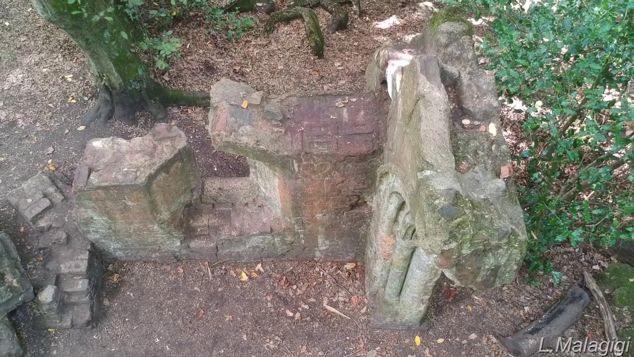 Sydenham Hill Wood, Sydenham - London
