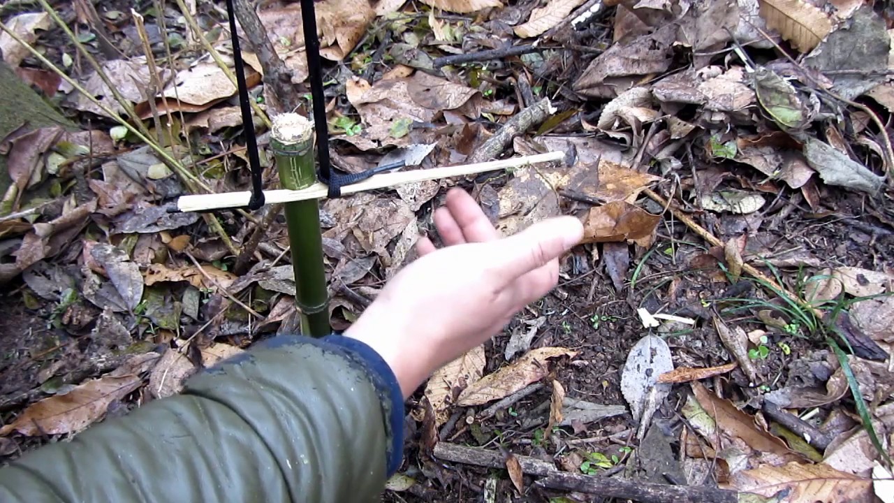 野外生存：野鸡野兔陷阱绊脚套