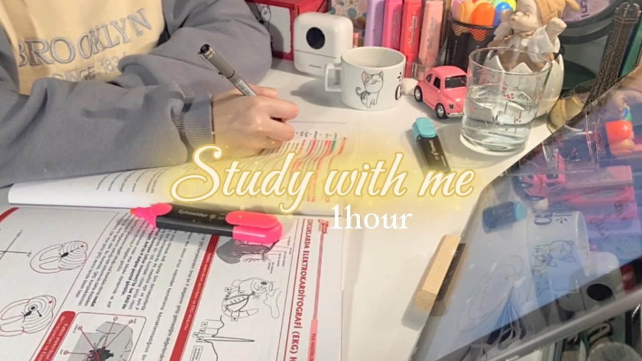 ✨1 hour late night study with me • fire crackling, no break, med student 