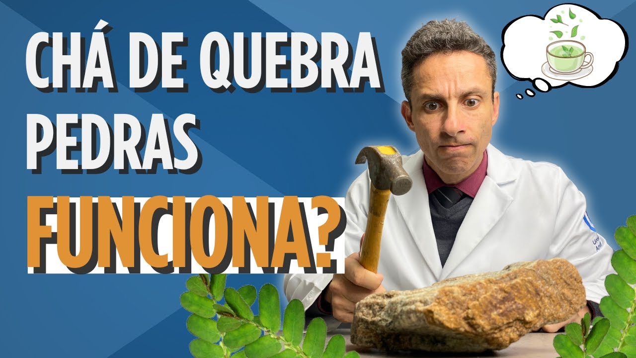 O que a ci&ecirc;ncia j&aacute; descobriu sobre o ch&aacute; de quebra pedras.