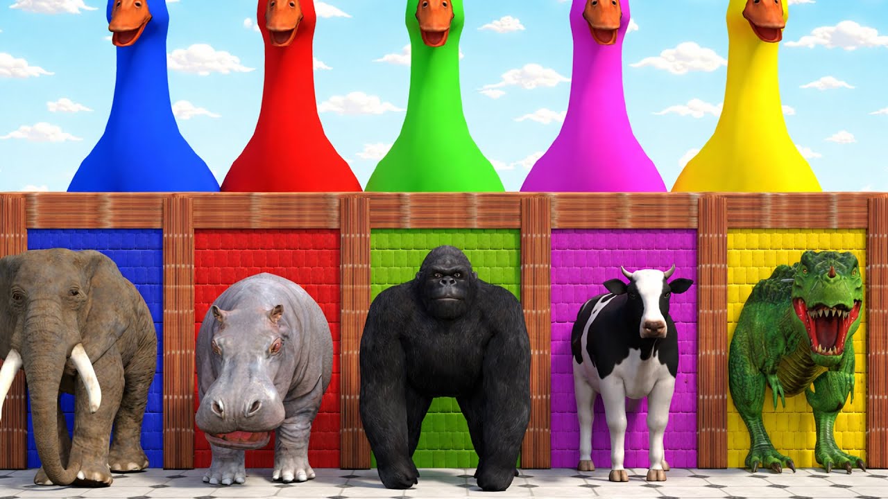 Long Slide Game With Cow Elephant Gorilla Hippopotamus Tiger 3d Animal Game Funny 3d Animals
