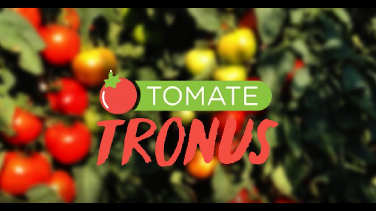 Tomate Tronus RZ