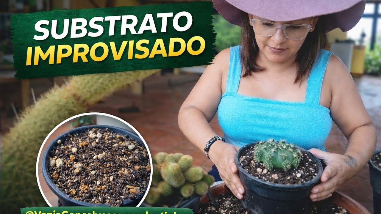 SUBSTRATO IMPROVISADO E POTENTE 