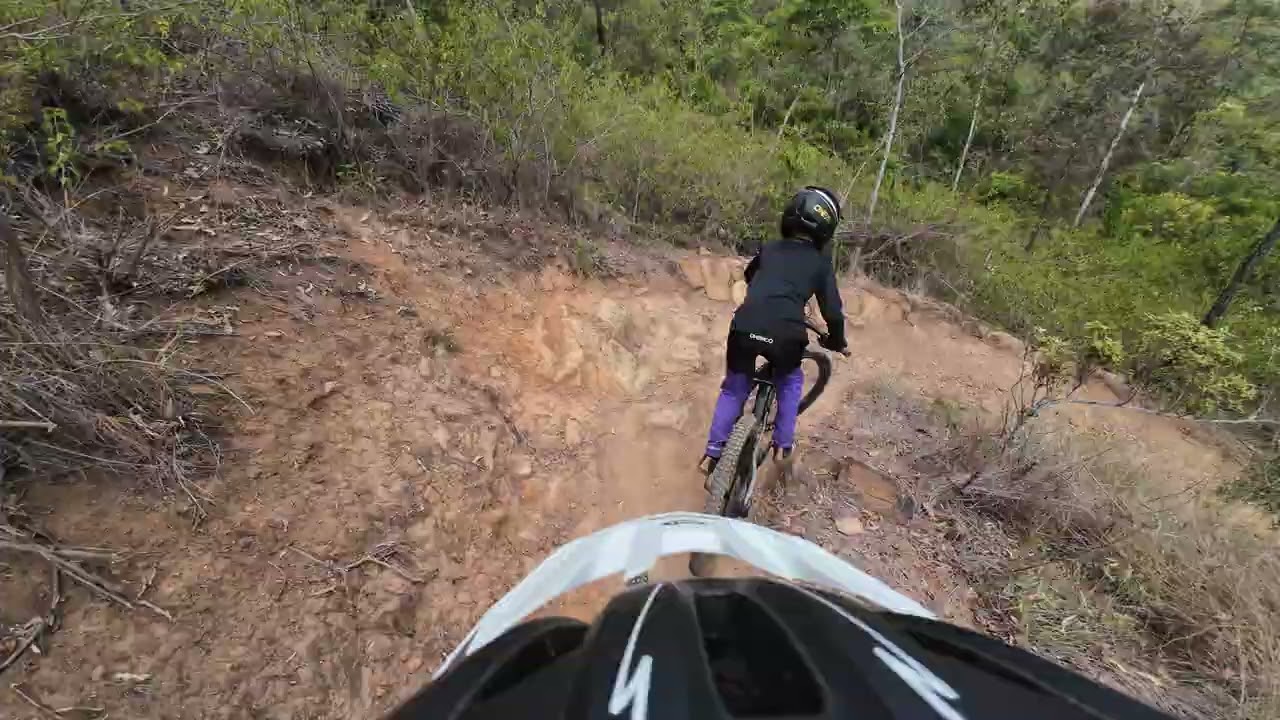 Crows flight