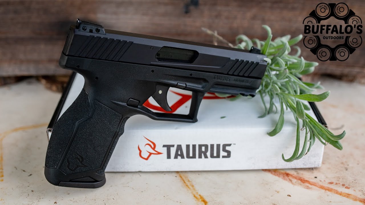 Taurus TX-22  RAISING THE BAR