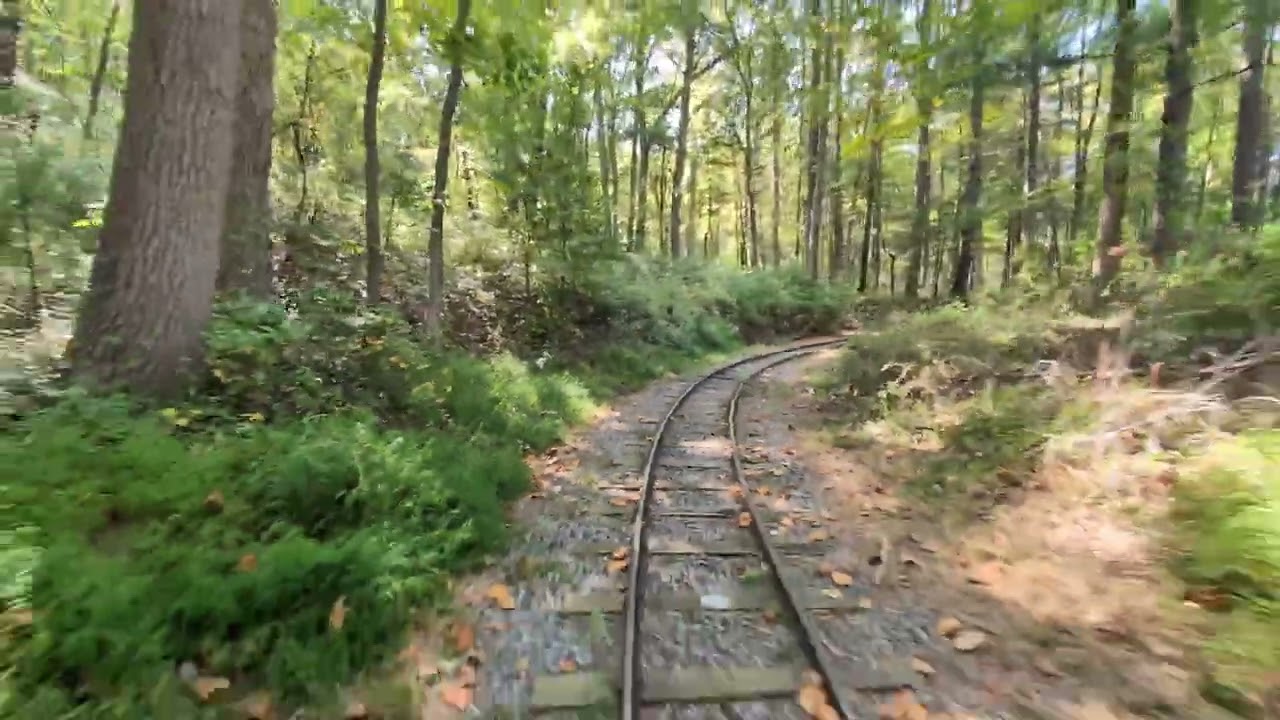Turtle Back Zoo Train Ride FULL POV (8 Minutes) - West Orange, NJ 