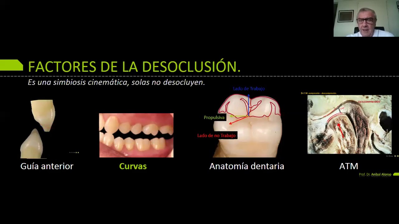 Crecimiento, formación y tratamientos de las curvas oclusales/ Dr. Aníbal Alonso