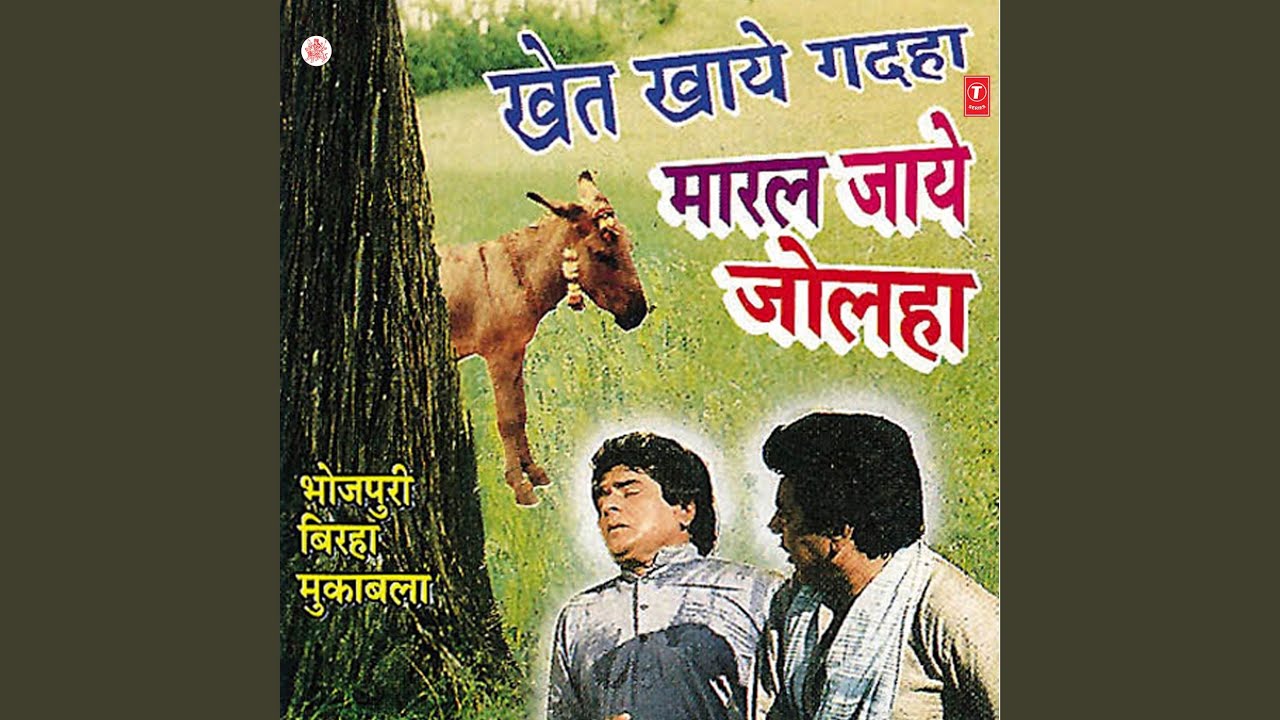 Khet Khaye Gadha Maral Jaye Jolha