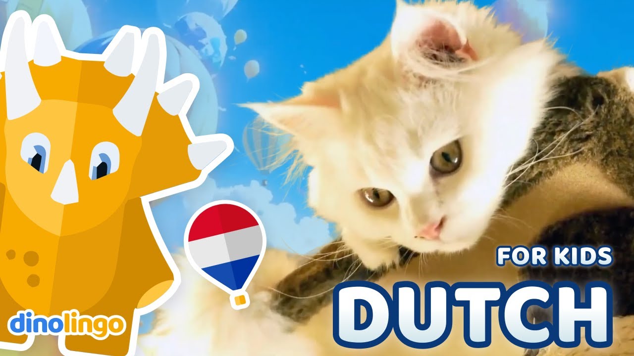 Learn Dutch for Kids: Animals | Online Dutch Lessons for Children