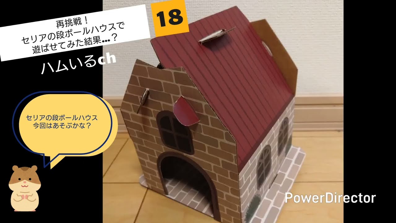 え!?そこ噛む？セリアの段ボールハウスにハムスターが見せた意外な行動